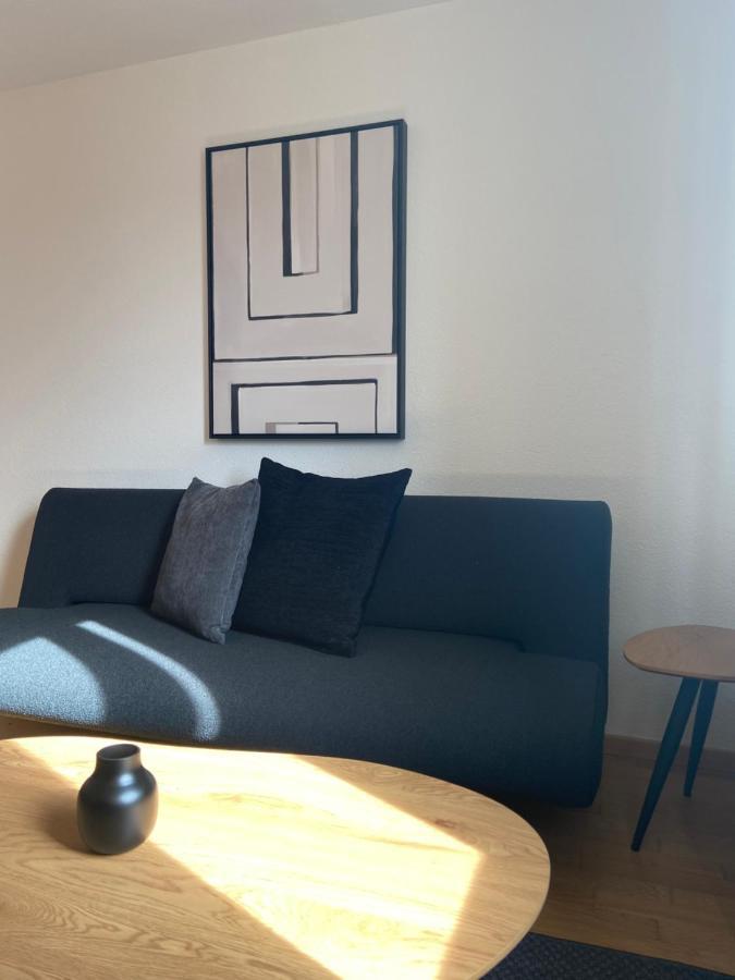 Modern 3bdr Duplex With Skyroof In Trendy West * Zürich